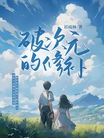 破次元的修补