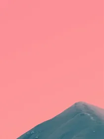 梅子味多巴胺