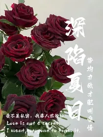 张桂源：深陷夏日