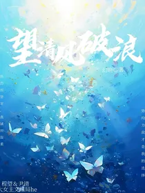 望清风破浪-d578