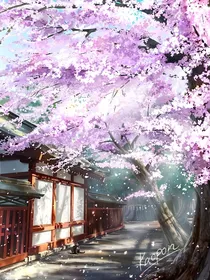 网球王子之花落下的声音