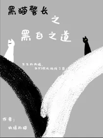 黑猫警长之黑白之道