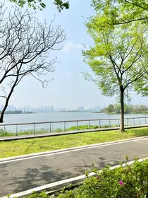 村官冰霄壶泡妞记