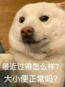 现实生活的梦境还原