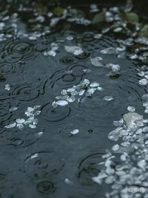 在他掌中
