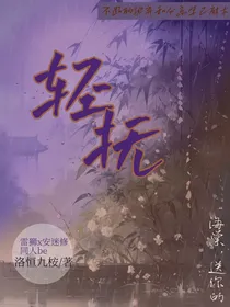 轻抚雷狮x安迷修