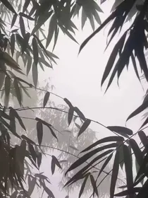 天宇之别
