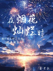 在烟花灿烂时