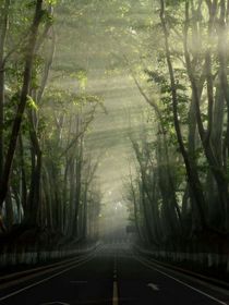 皖光