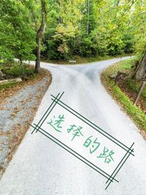 选择的路