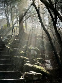 他降临