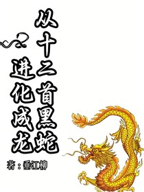 从十二首黑蛇进化成龙