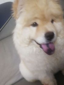 从算命到无限流