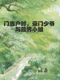 门当户对，豪门少爷与政界小姐