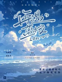 再遇蓝桉