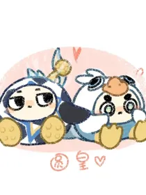 圆皇西皮