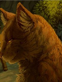 猫武士—一眼的故事