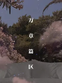 万章篇区