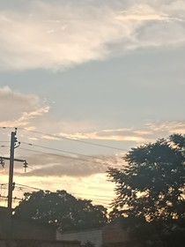 青纸一涩