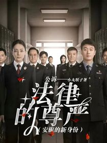 公诉——法律的尊严（安旎的新身份）