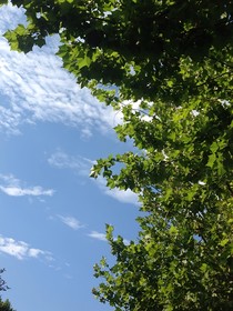 阿离的情场之路
