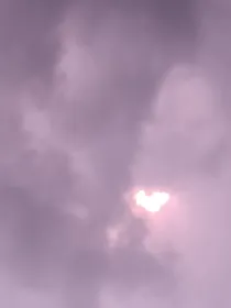 万花劫