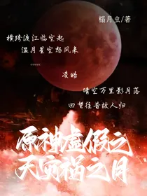 原神：虚假之天，灾祸之月