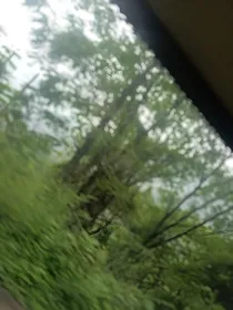 别听世俗的耳语去看自己喜欢的风景
