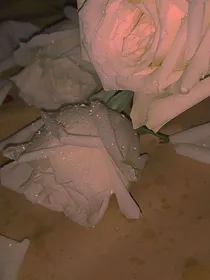 纪祈安的回忆录