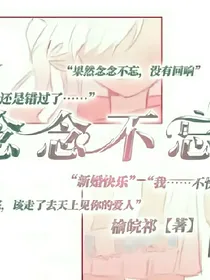念念不忘（竹马抵不过天降）