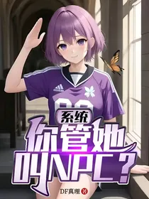 系统，你管她叫NPC？