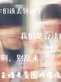 未婚夫是我圈内偶像