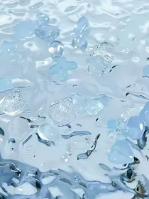 我和我的大网红