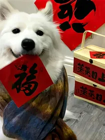 航忱碎碎念日常