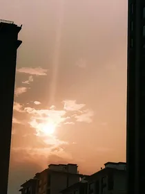 总裁的娇爱