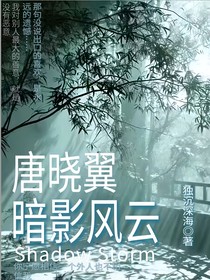 唐晓翼：暗影风云重启