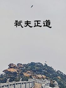 弑夫证道