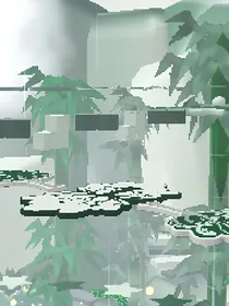 查理九世之玖凌风华