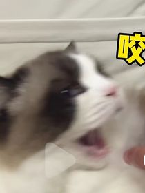 童若姚的旅行日记