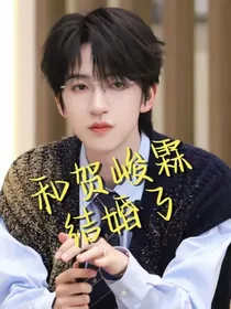 和贺峻霖结婚了