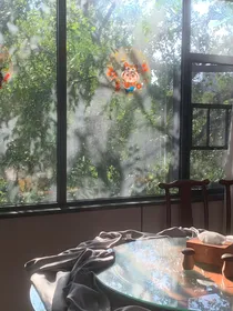 穿越拯救我的爱人