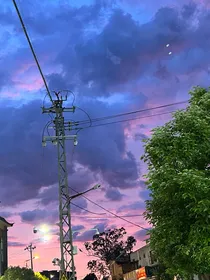 风起风落愿无悔