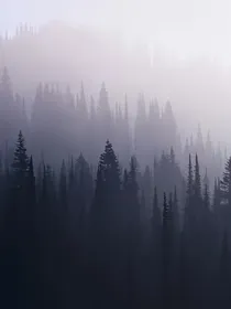 原创小说：无限流里的几朵双生花