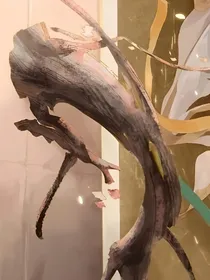 武魂殿：圣子卧底