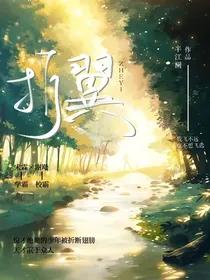 折翼（有一个大大是用这书名写同人哈）