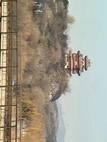 男频大神竟是一个女生