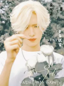 TNT：爱与谎言
