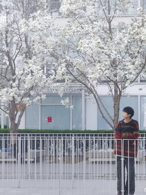 杨博文：浪漫收藏家