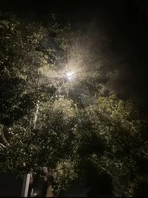永远埋藏的话