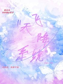 飞天降系统